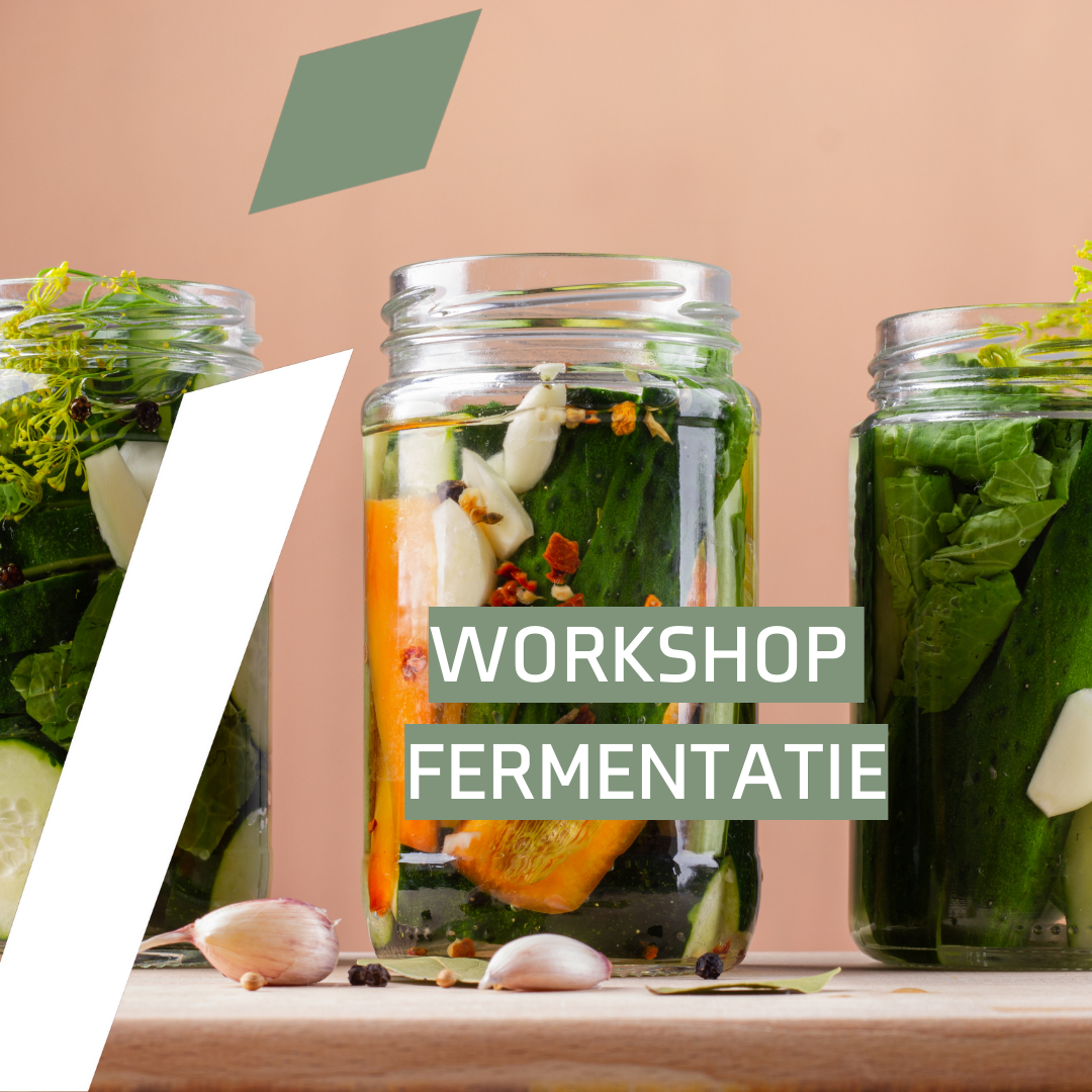 Workshop Fermentatie - 30 april 2024