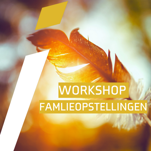 1/2 dag workshop: FAMILIE OPSTELLINGEN